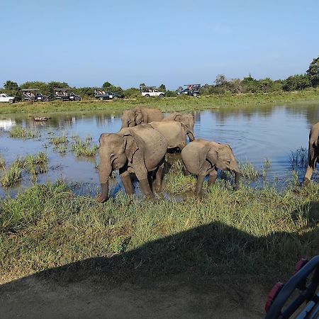 Udawalawa Safari Resort Udawalawe Buitenkant foto