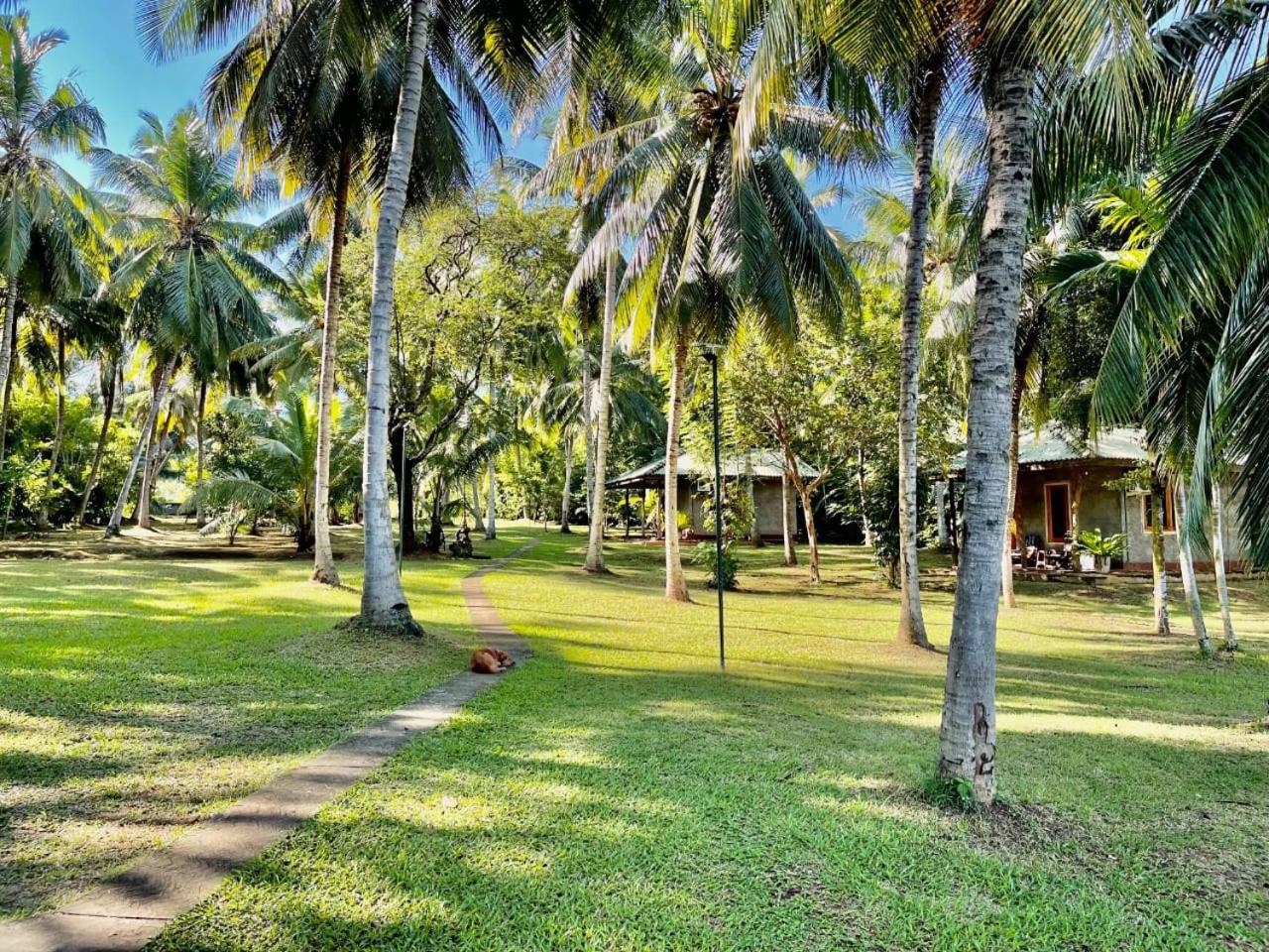 Udawalawa Safari Resort Udawalawe Buitenkant foto