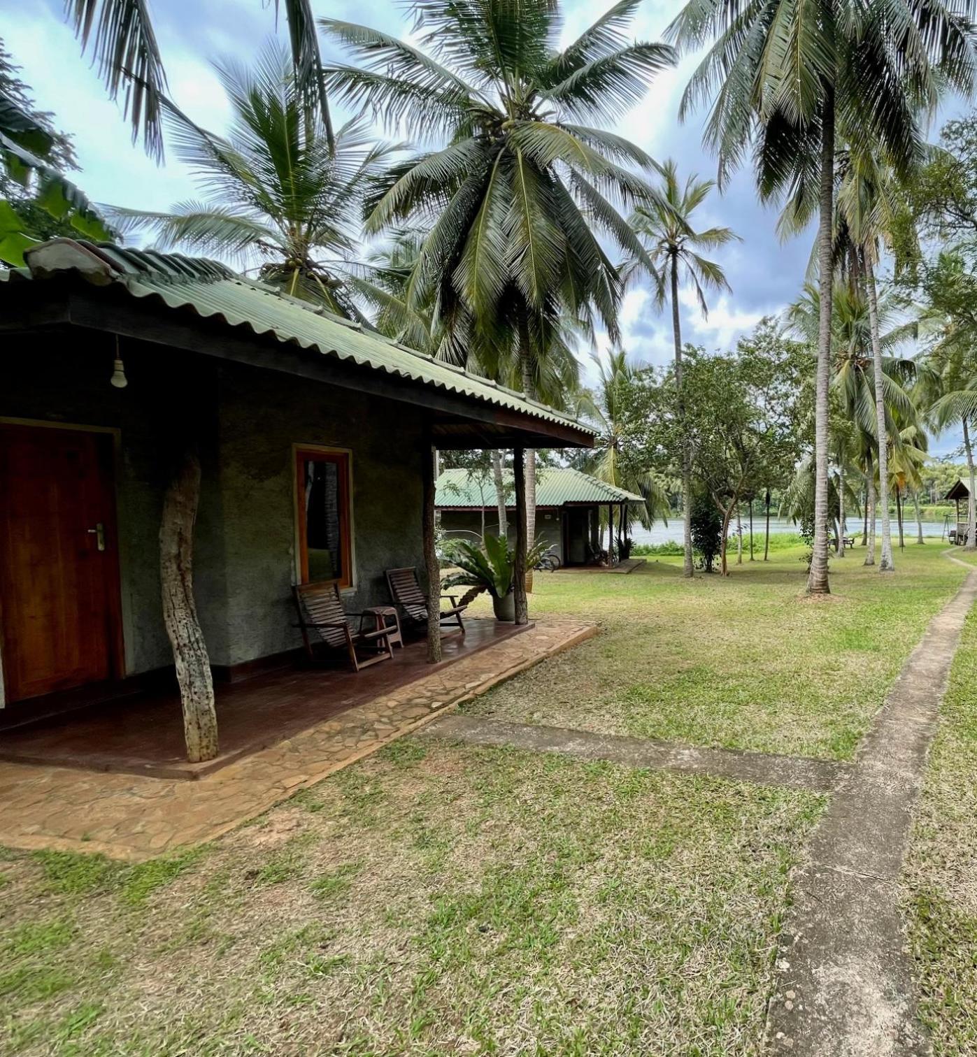 Udawalawa Safari Resort Udawalawe Kamer foto