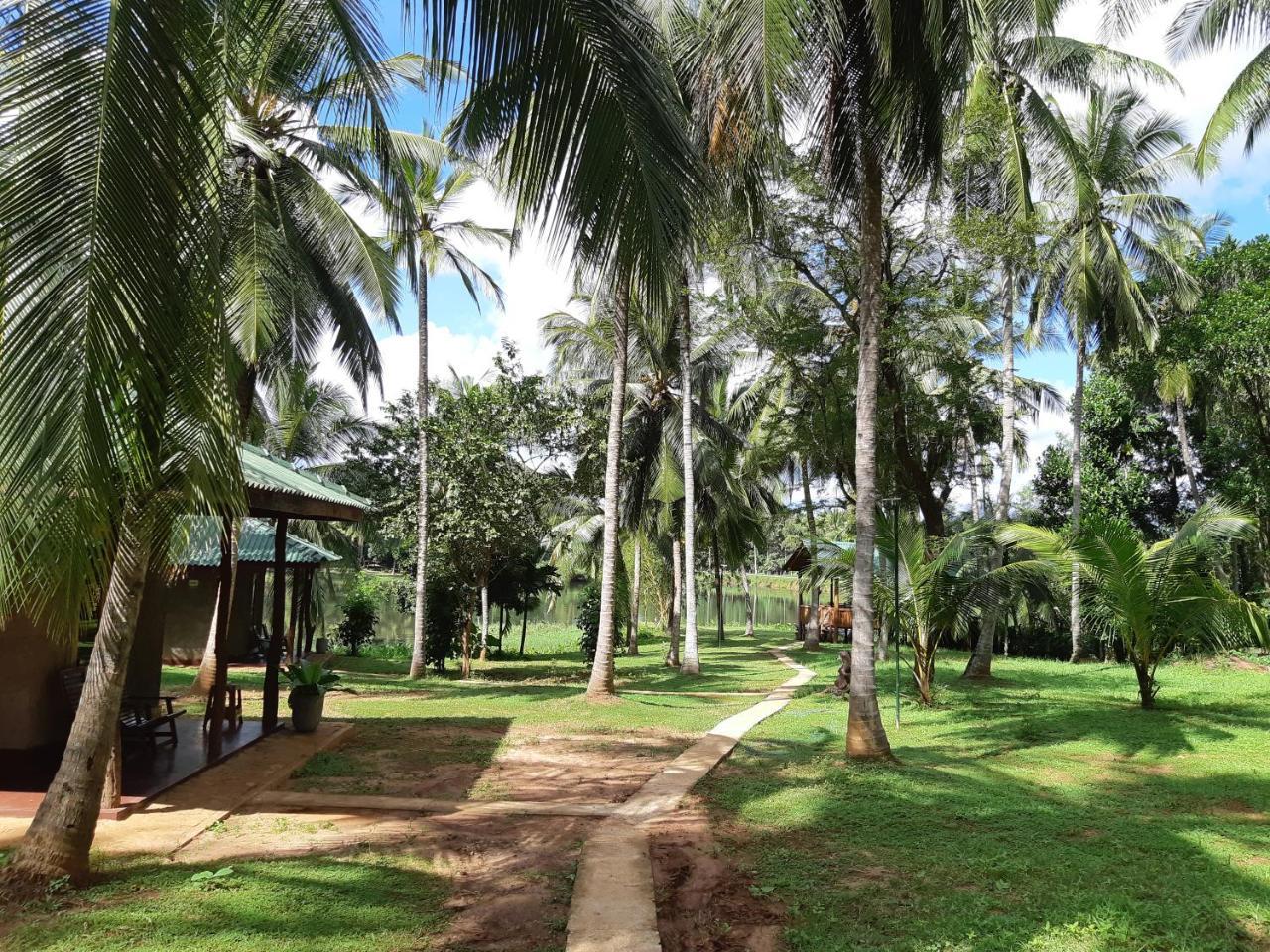 Udawalawa Safari Resort Udawalawe Buitenkant foto