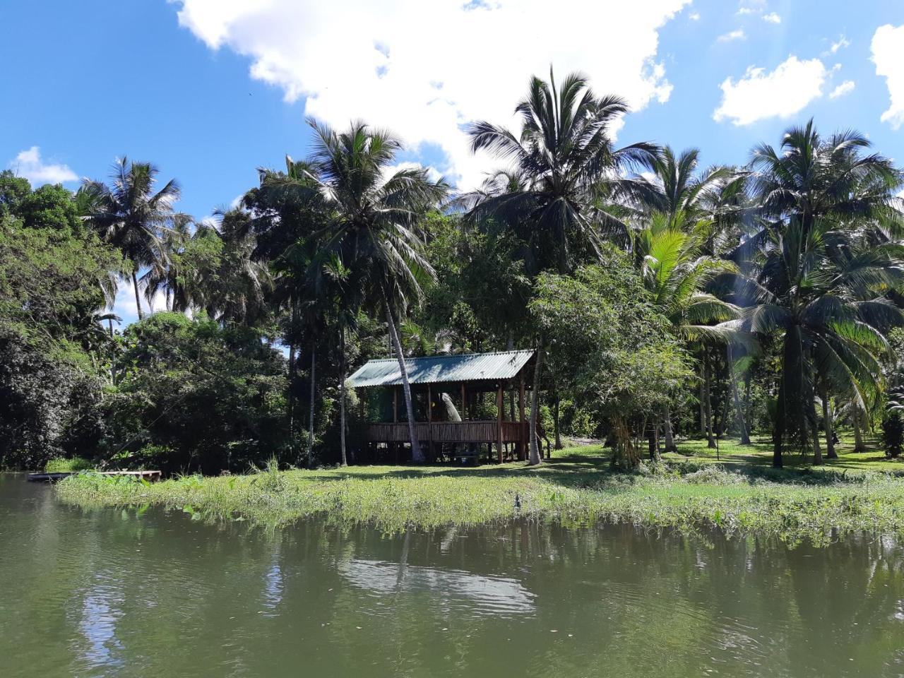 Udawalawa Safari Resort Udawalawe Buitenkant foto